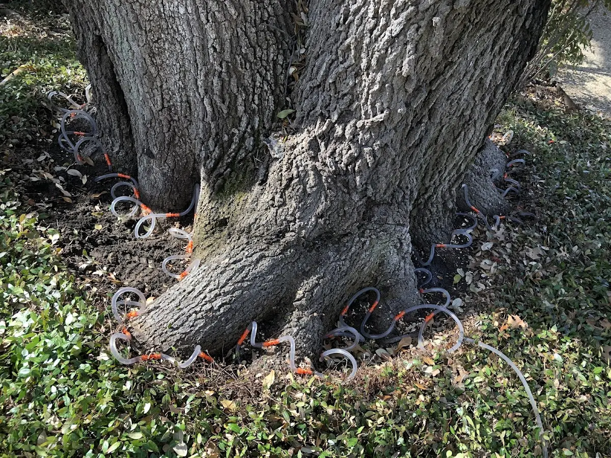 Detailed Shrub and Hedge Trimming job site in Fords